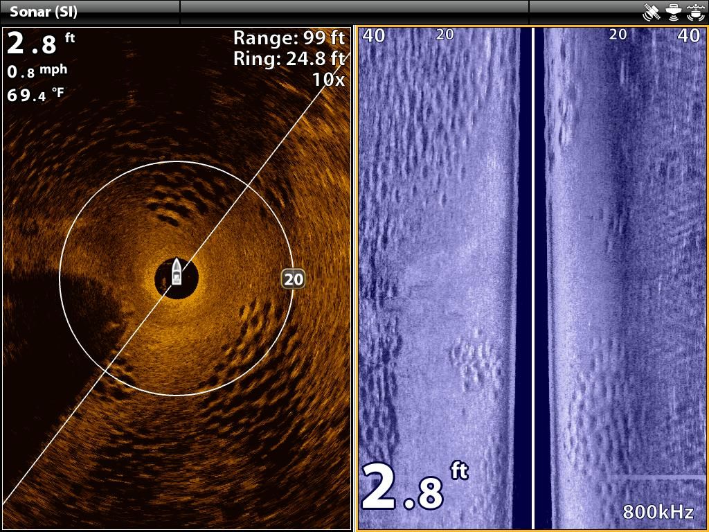 Side imaging bream beds